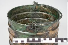 Foto von Bronzerippenziste (NHMW-PRAE-025462)